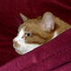 Kelley_ya's avatar