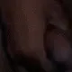 stu-new's avatar