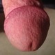 06boner's avatar