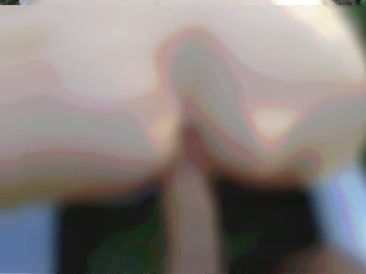 Cute babe in knee socks lets me pound her without mercy outdoors