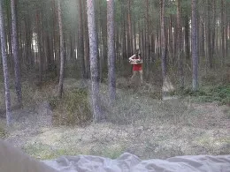 Little Red Riding Hood goes to visit her grandmother