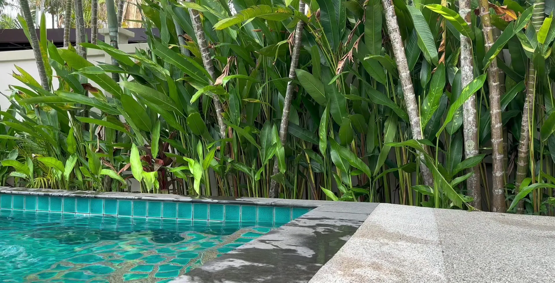 Babe At The Resort Could Not Stop Herself From Riding Me
